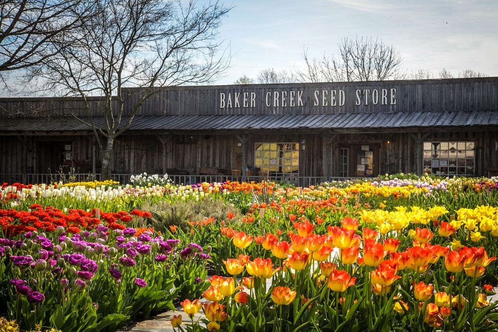 An old-looking store with wooden siding and a yard full of flowers.