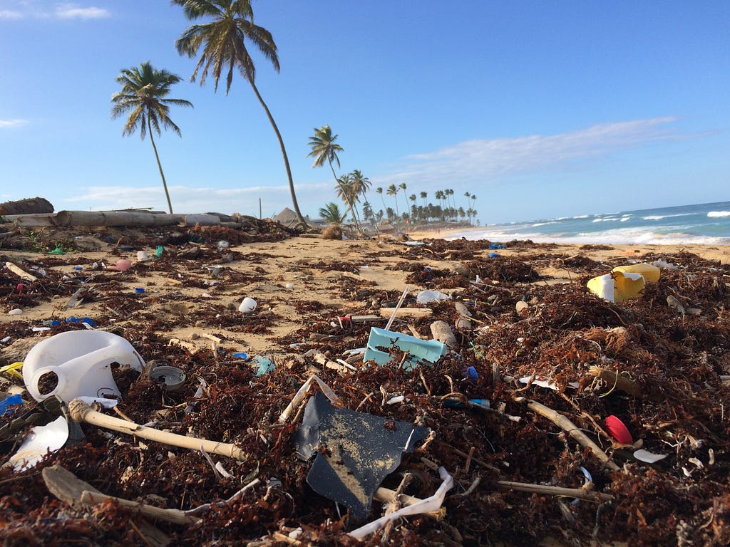 trashes in the seashore