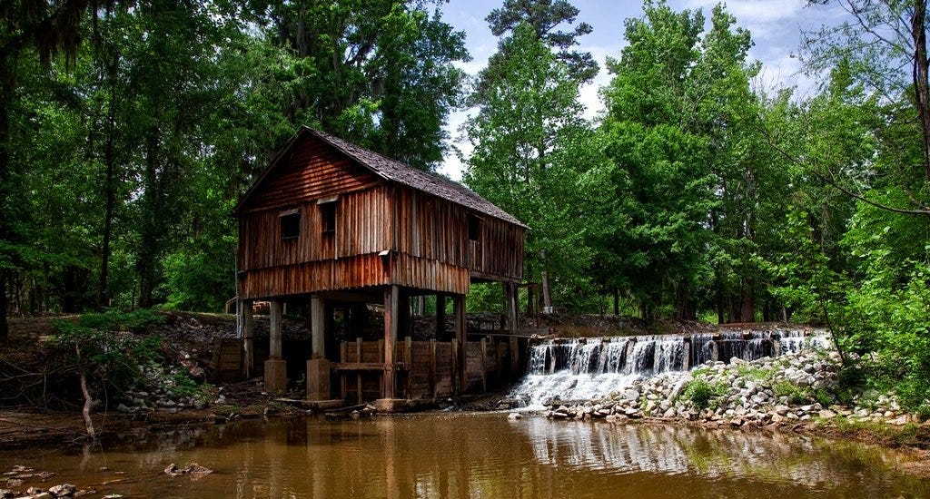 An old wooden house near a forest