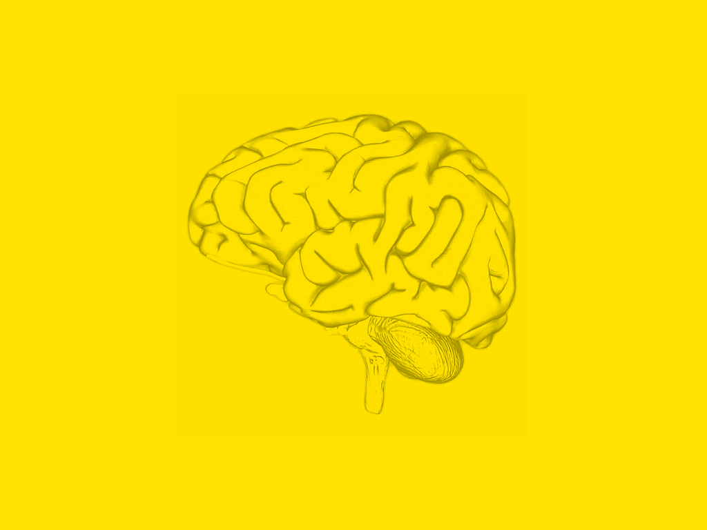 A sketch of a brain overtop of a yellow background