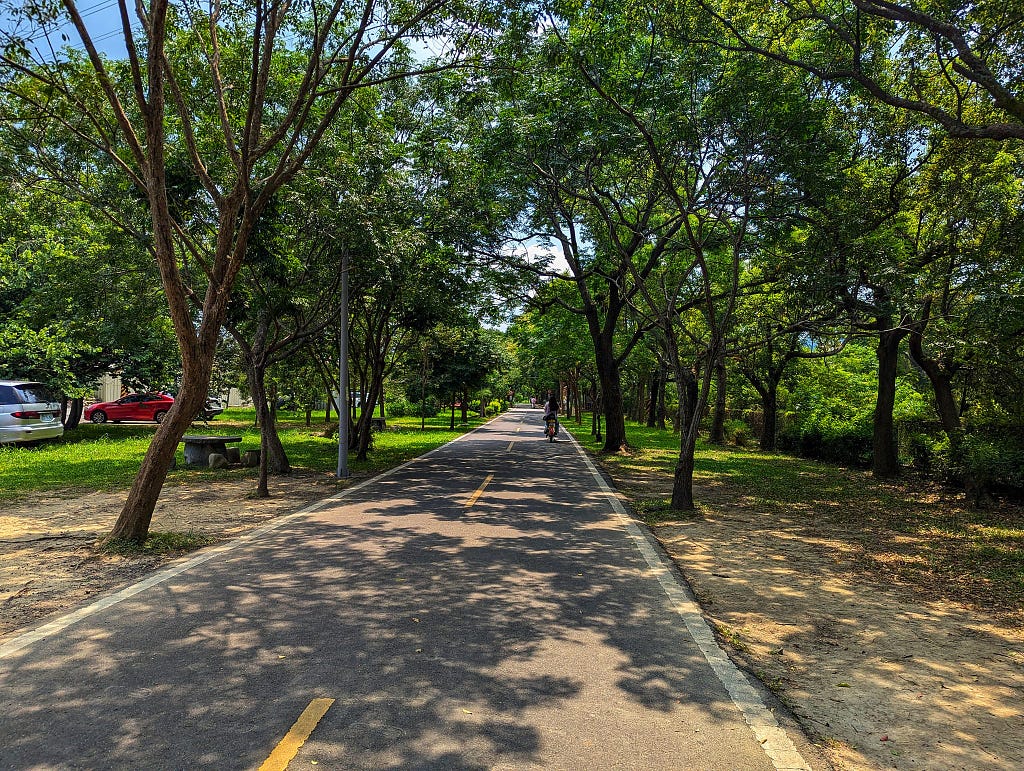 A long stretch of the flat bike lane. It is in good condition. On either side are trees that provide shade.