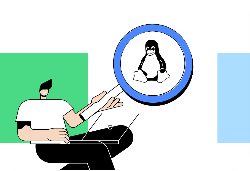 How to use a proxy server on Linux