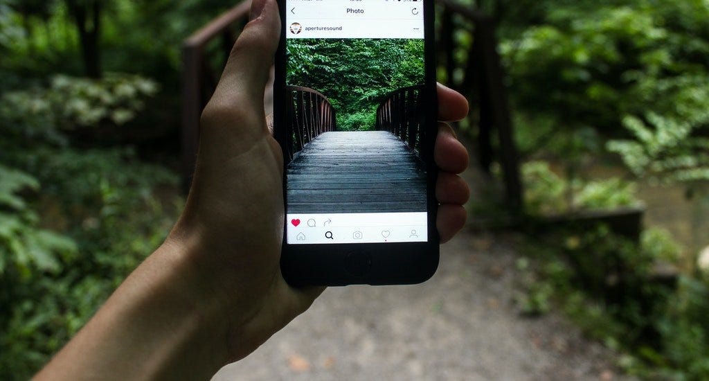 An entrepreneur holding up their smart phone with a picture of a forest on it