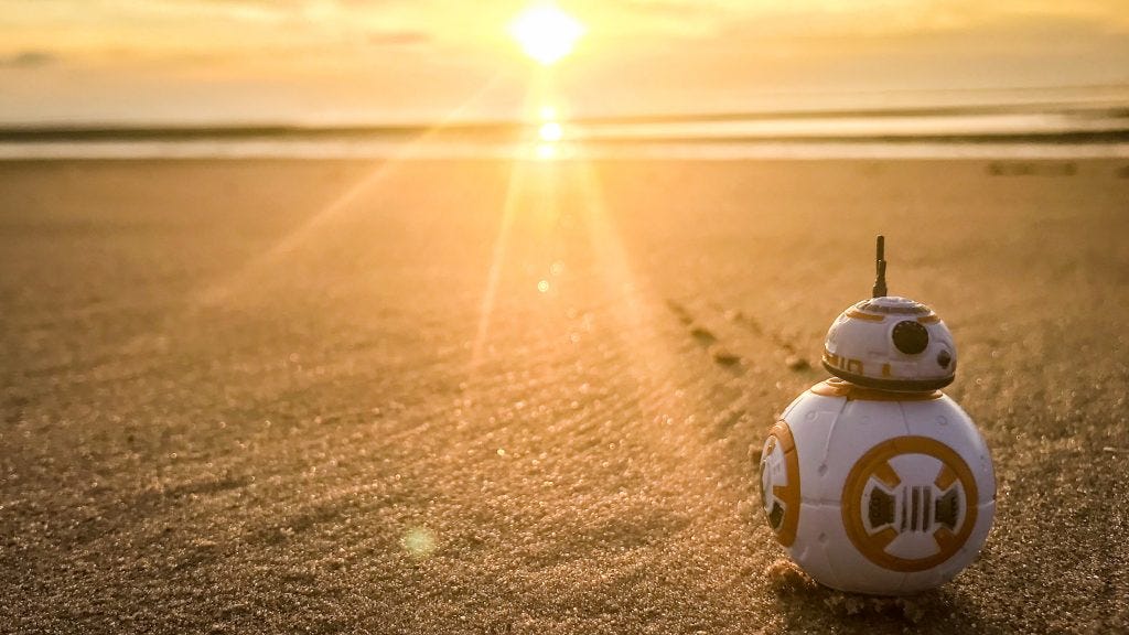 BB-8 looks into the sunset.