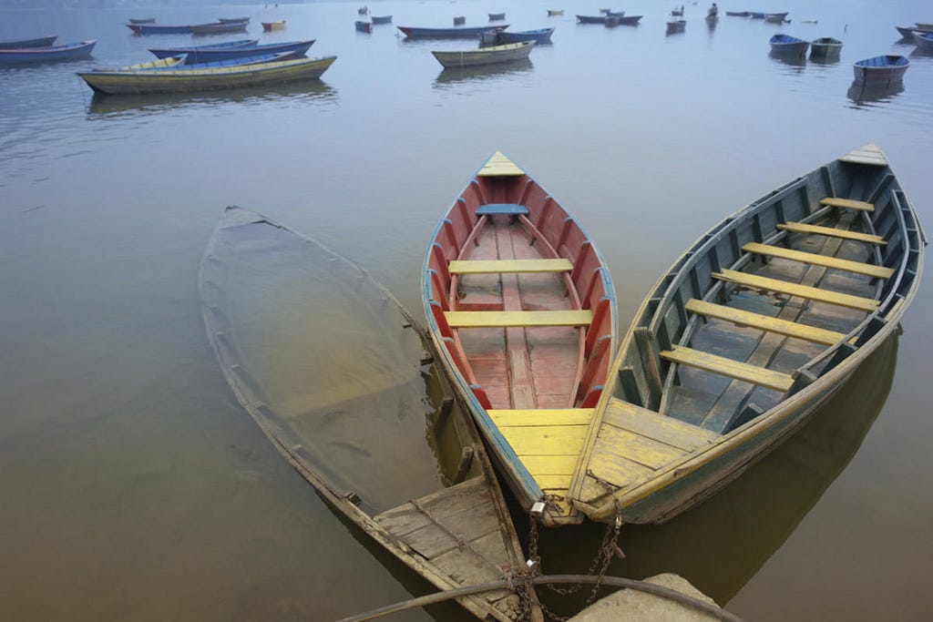 Digital health innovation: Addressing the two-canoe problem