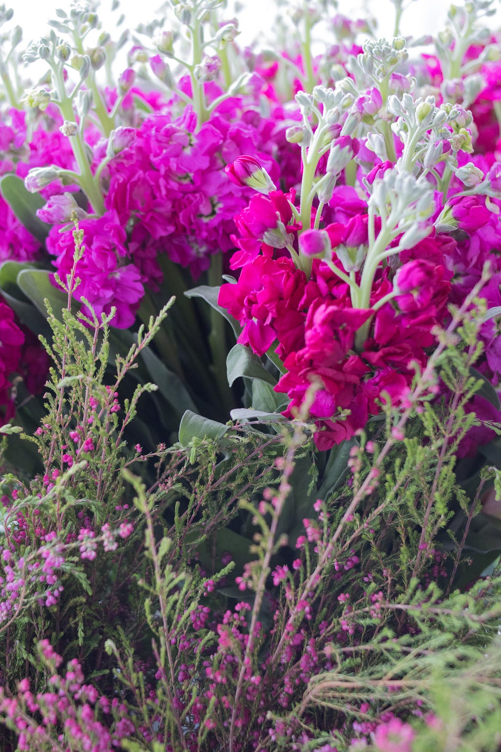 pink heather and stock flowers