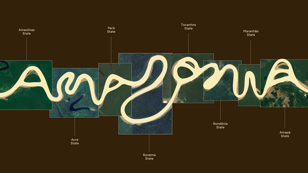 The Amazonia brand identity stands as a testament to the power of human depth, where deep cultural collaboration and shared community vision create a soulful resonance that solo AI prompts simply cannot replicate. (image source: FutureBrand)