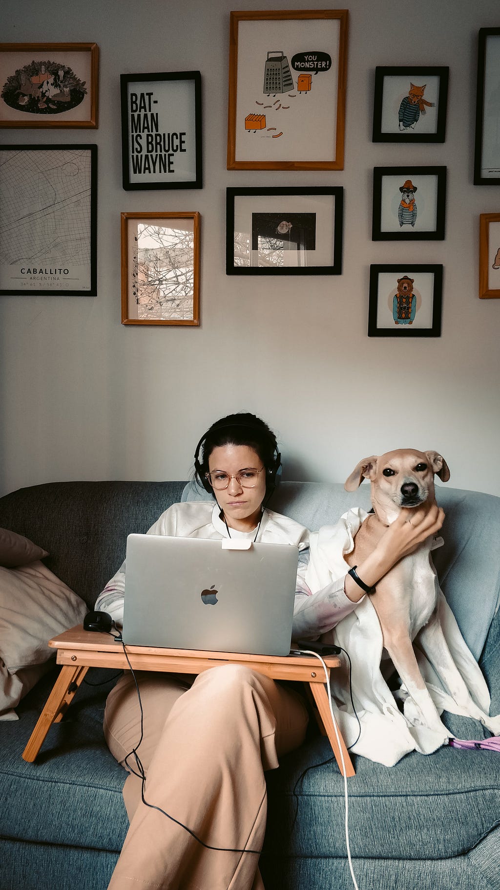a young lady and her dog look at a laptop from the couch as they work from home, probably on some important spreadsheet or something