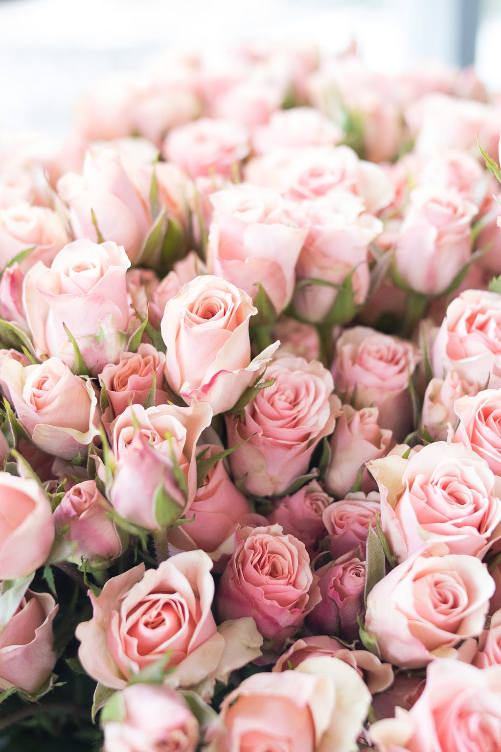 pink spray roses from Alice's Table in Jacksonville Beach