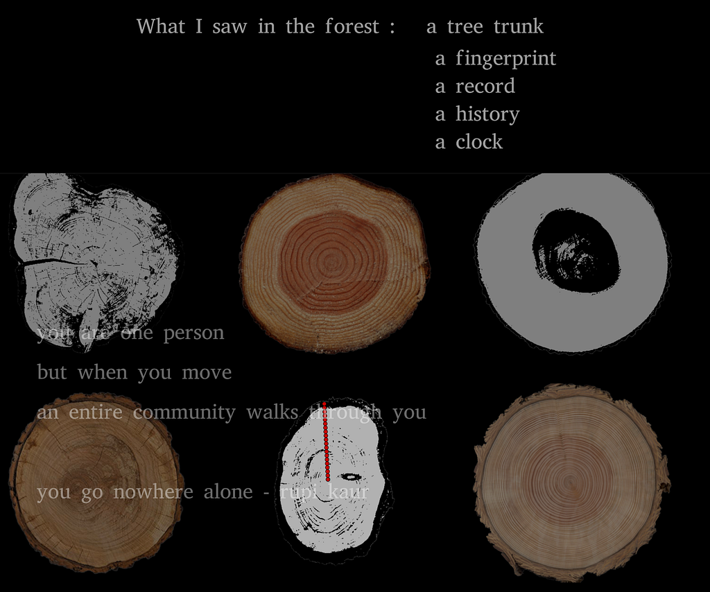 An image of tree rings, with overlaid text: At the top right, “What I saw in the forest: a tree trunk, a fingerprint, a record, a history, a clock”; at the bottom left: “you are one person, but when you move, an entire community walks through you, you go nowhere alone — rupi kaur”