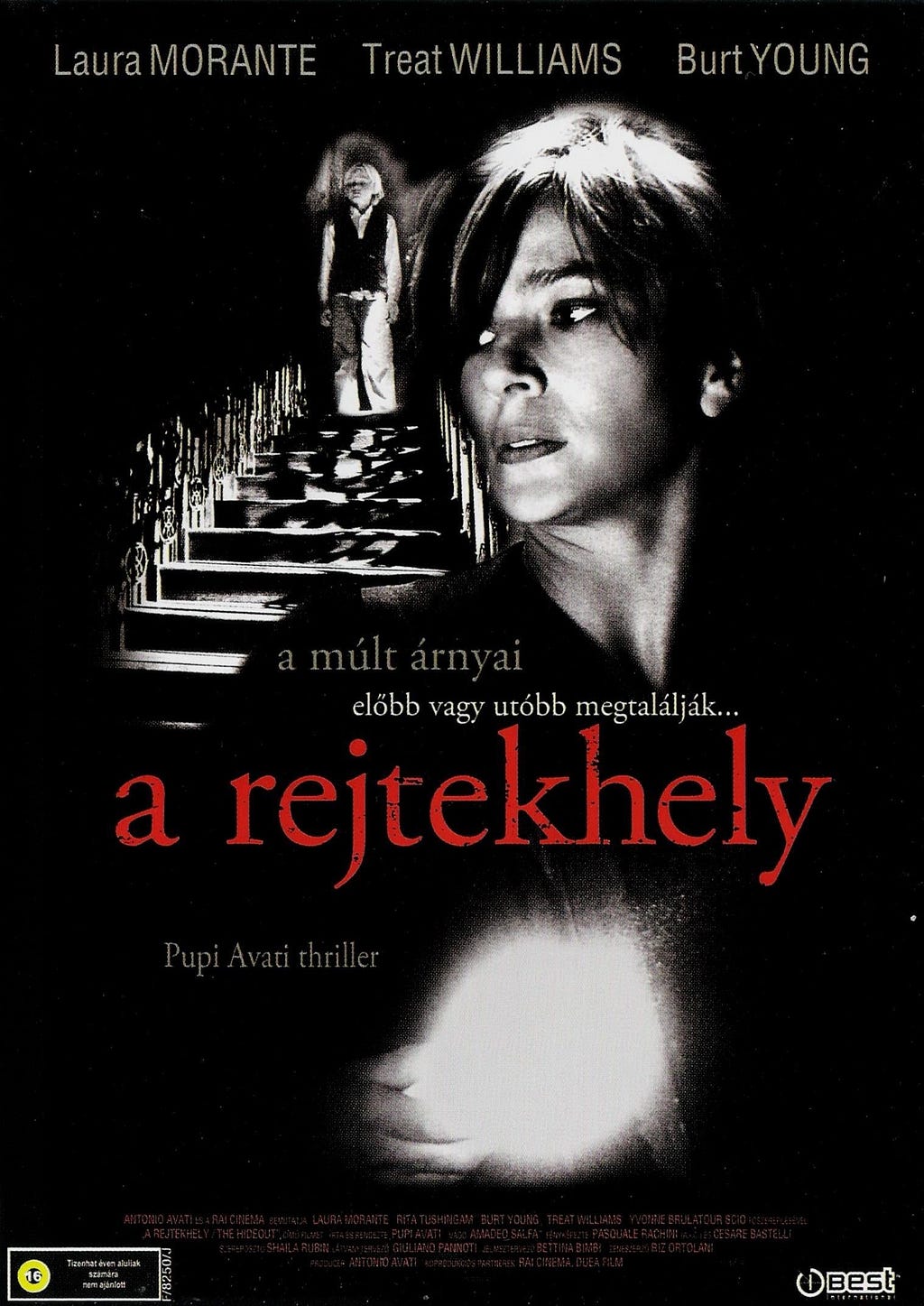 Il nascondiglio (2007) | Poster