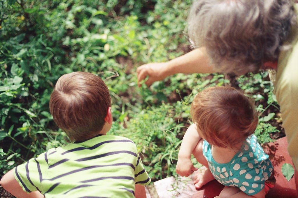 Grandmother with her grandchildren in the nature