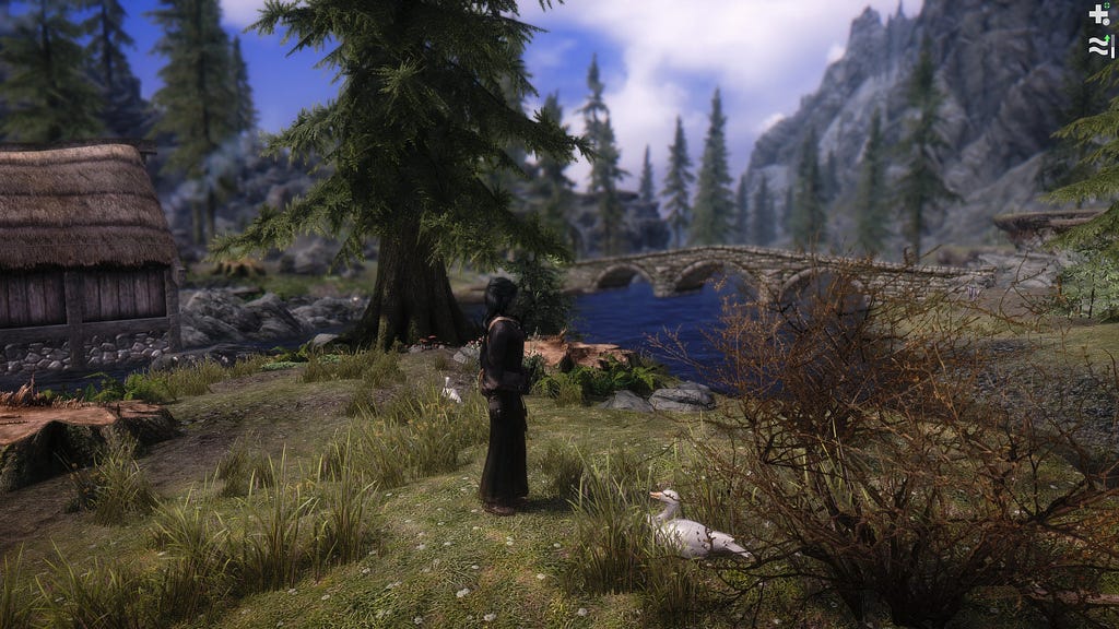 Skyrim