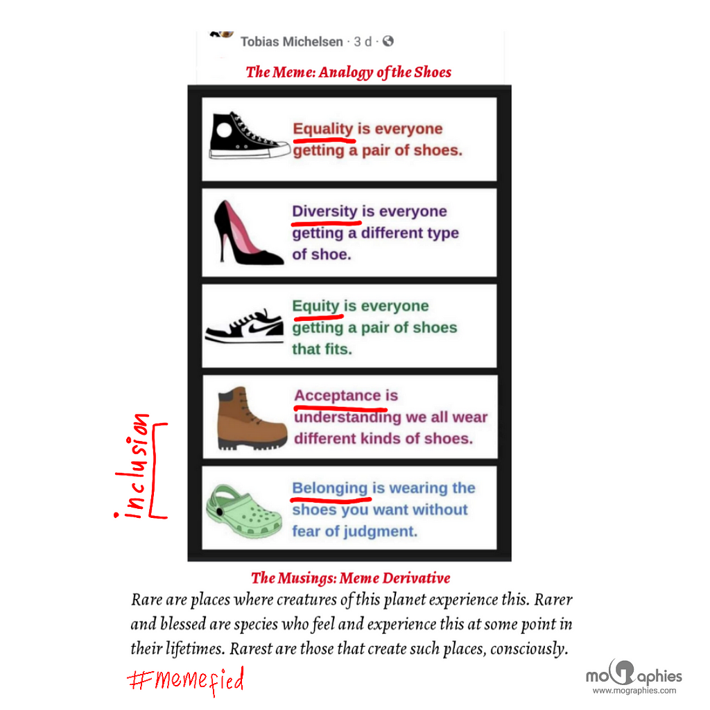 An analogy using shoes to explain Equality, Diversity, Equity, Acceptance and Belonging.
