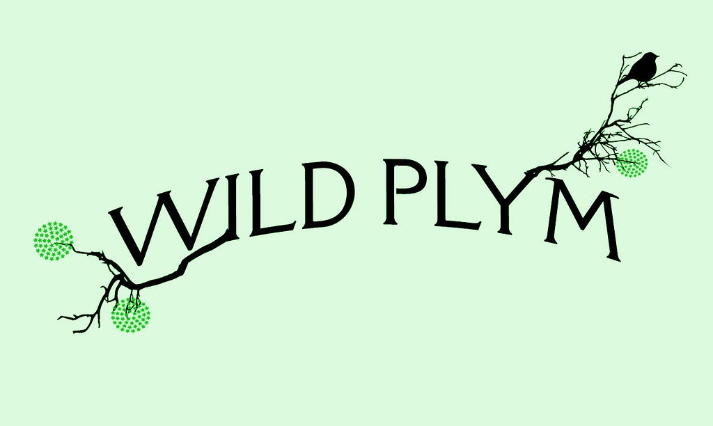 Wild Plym brand developed by the Lab team