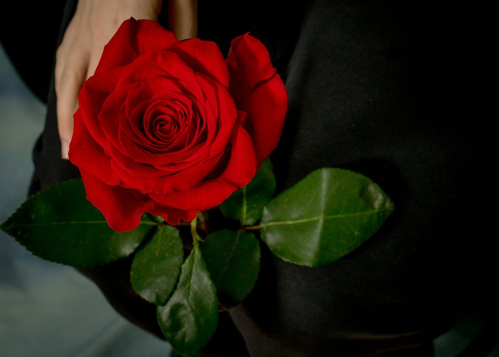 woman’s hand holding a red rose