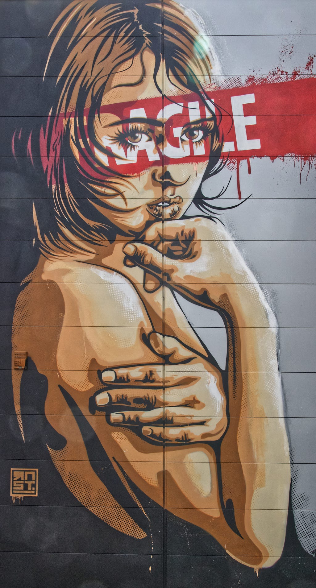 Graffitti art of a women and the word fragile