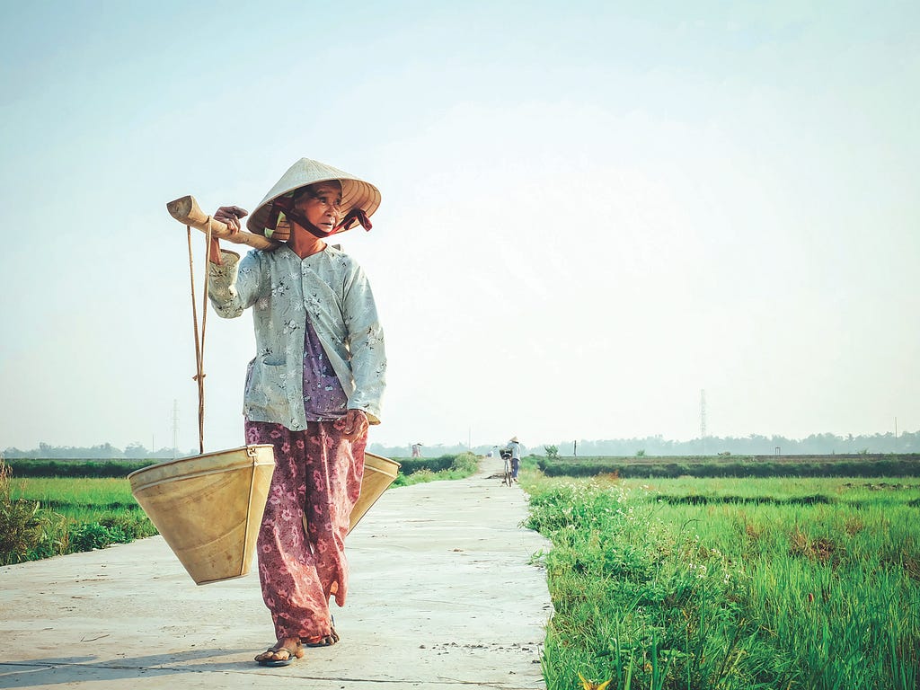 Posted on Mickey Markoff air sea show exec article about PTSD — Photo of man holding bucket in rice paddy field in Vietnam.