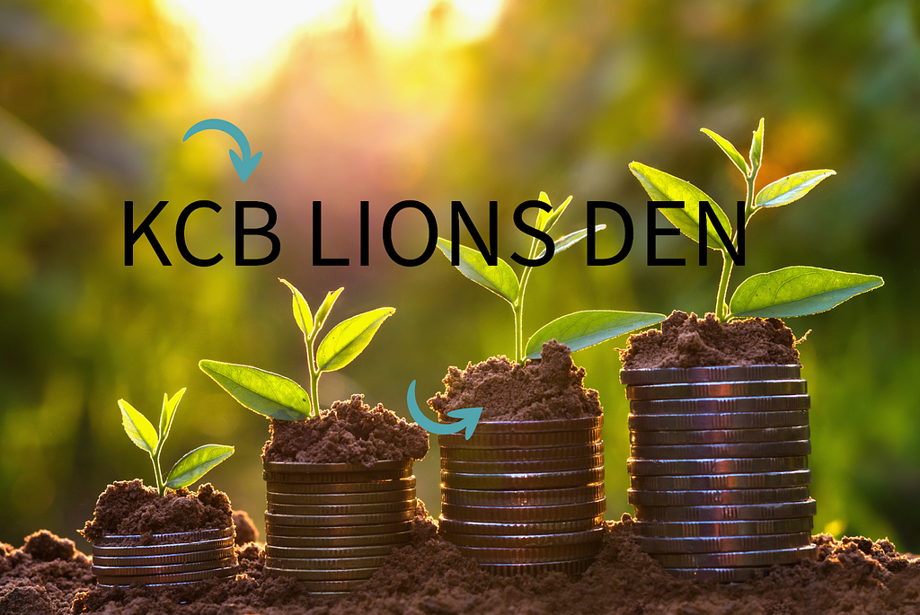 Money growth, KCB Lion's Den, business capital, angel investors, copper coins, green seedling growing