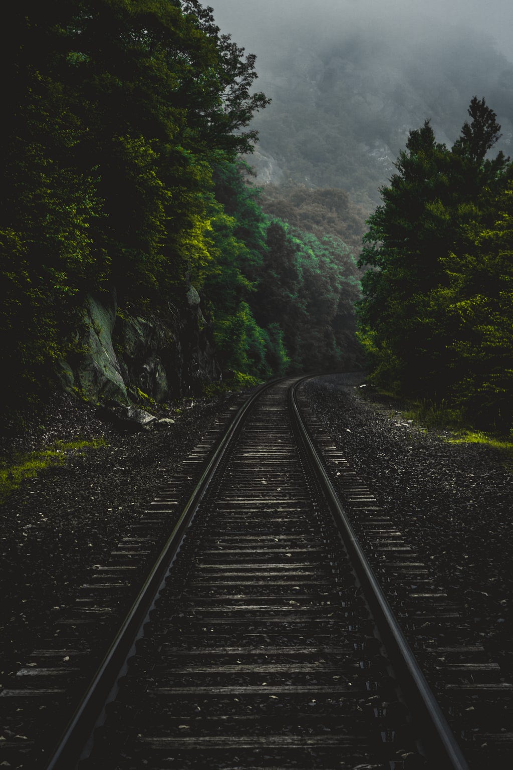 Stunning image of train tracks around dusk surrounded by luscious greenery on either side