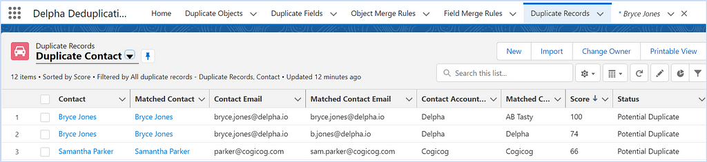 Screenshot showing where all the duplicate matches appear for users in Salesforce