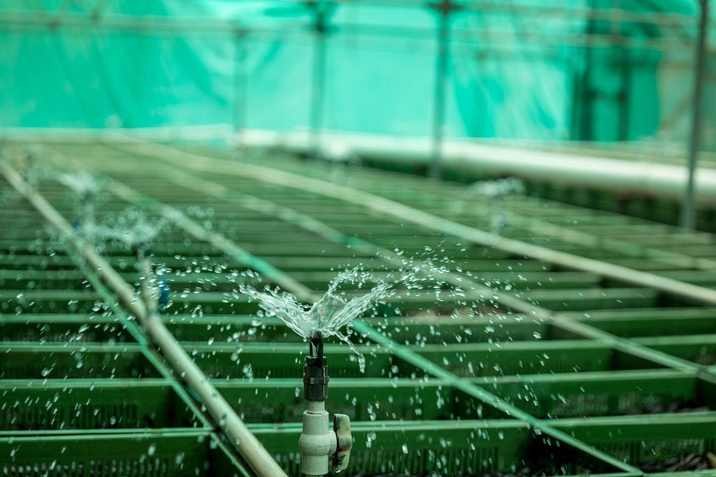 A sprinkler system with water spouting into a wastewater treatment system. Green background.