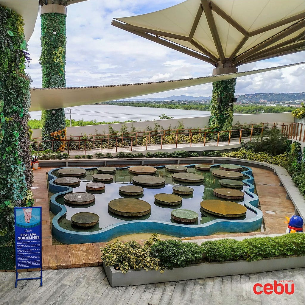 a fish spa area at Cebu Ocean Park, image captured by Cebu Insights
