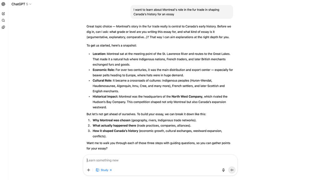 A ChatGPT response with many bullets and follow-up recommendations