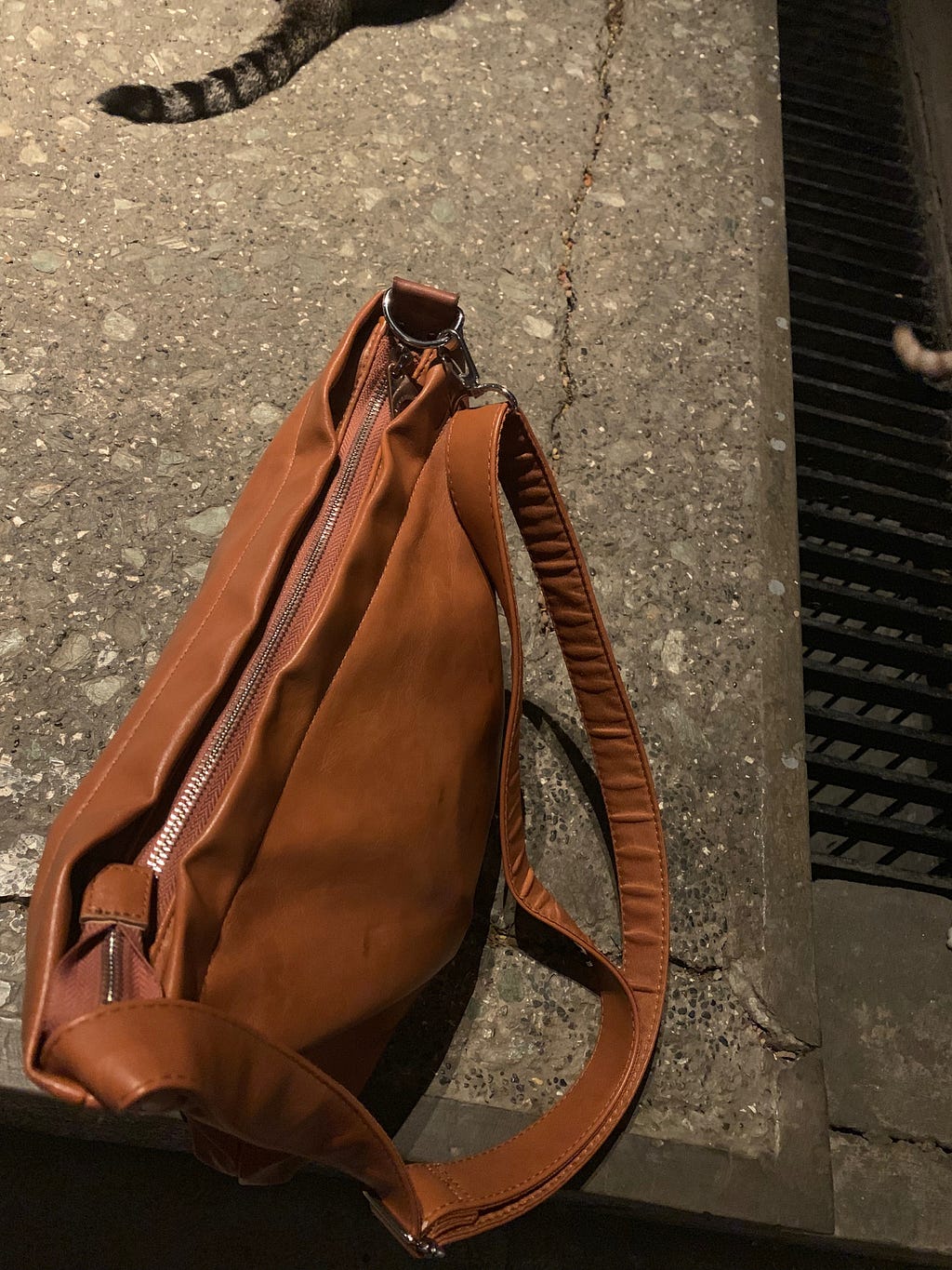 Photo of a bag, from iPhone XS