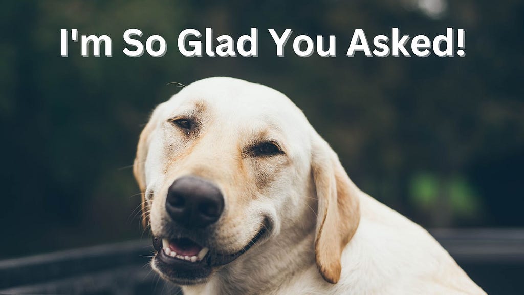 A happy dog with the words, “I’m so glad you asked!” above its head