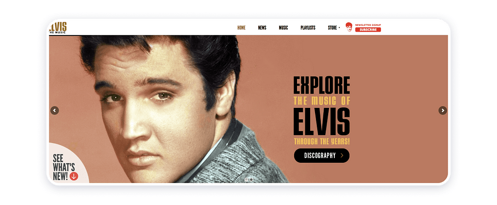 Elvis Presley website example