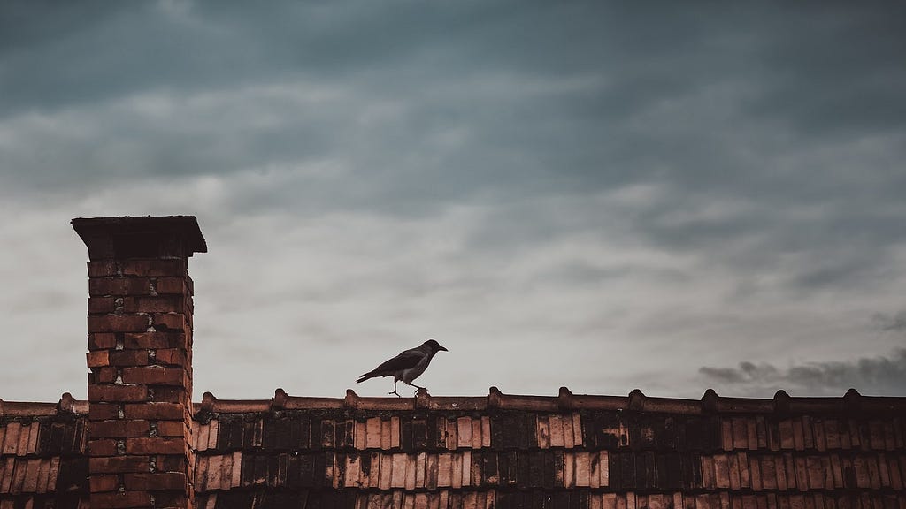 A black bird sits on a brick wall or the top of a house against a dark, cloudy sky.