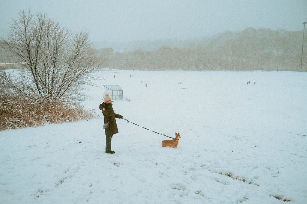 Maria and Limone from SYDE Road heading down the slope at Riverdale Park East toward the Off-Leash Play Area