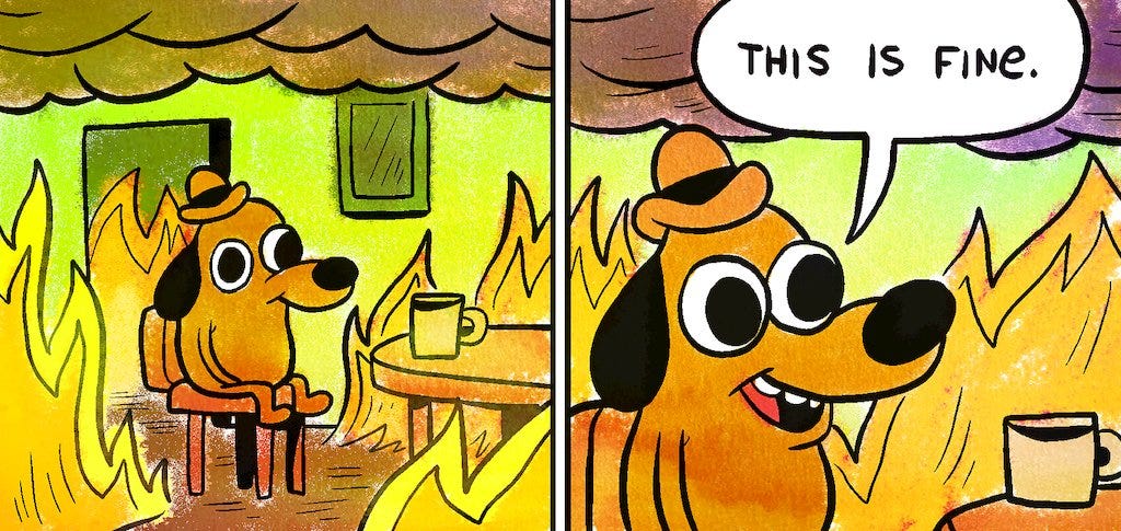 A dog sitting on a chair in a room on fire saying “This is fine”.