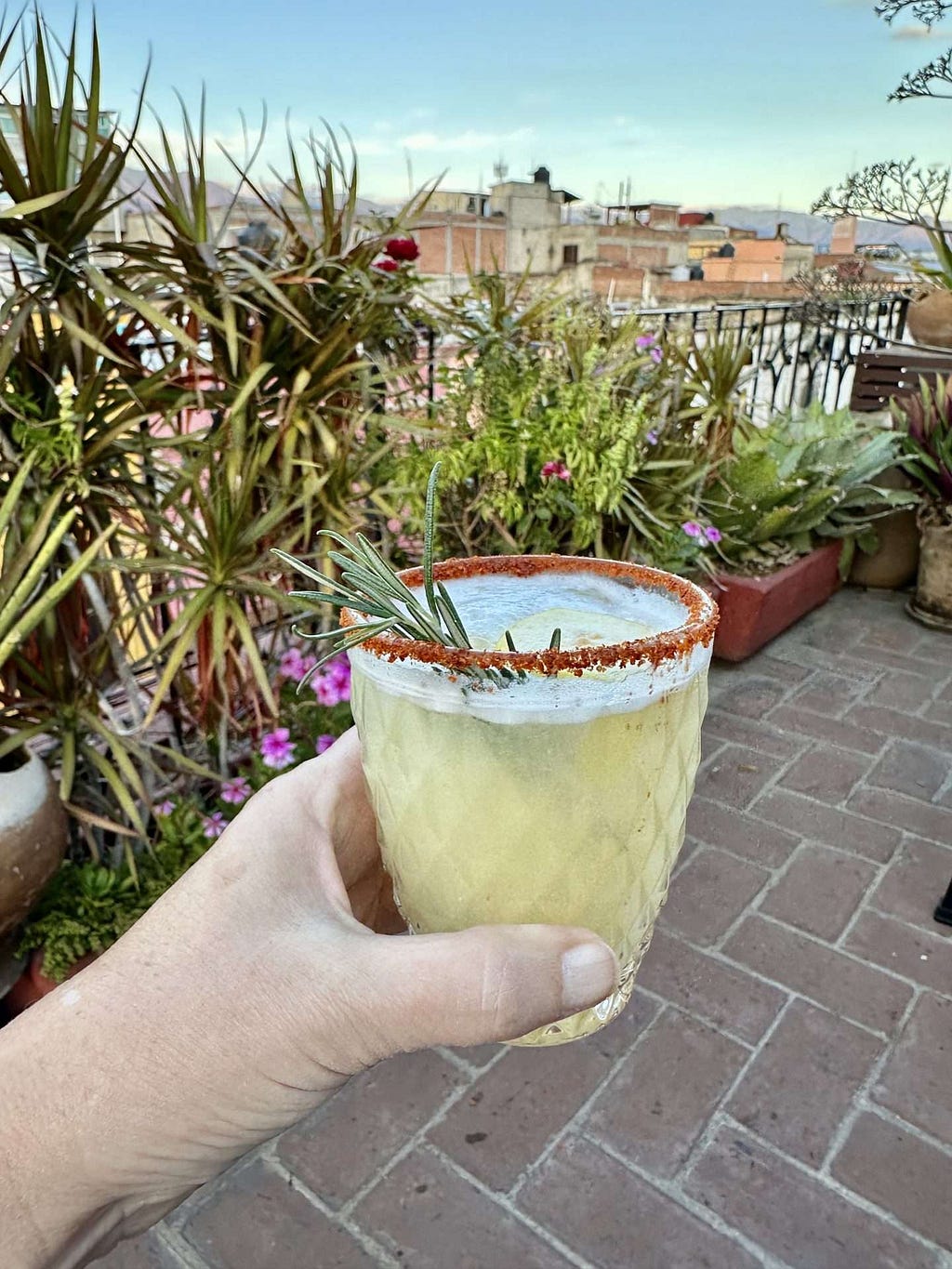 A person holding up a cocktial at a rooftop bar in Oaxaca