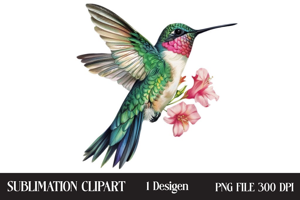 Watercolor Hummingbird Cliart Afbeelding Afdrukbare Illustraties Door Creative Design House