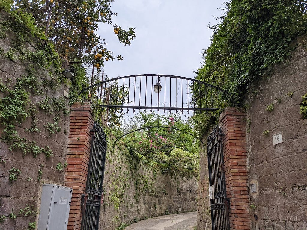 An open iron-wrought gateway along a street in Sorrento enclosed by tall brick walls. Lemon trees, heavy with lemons, grow above.