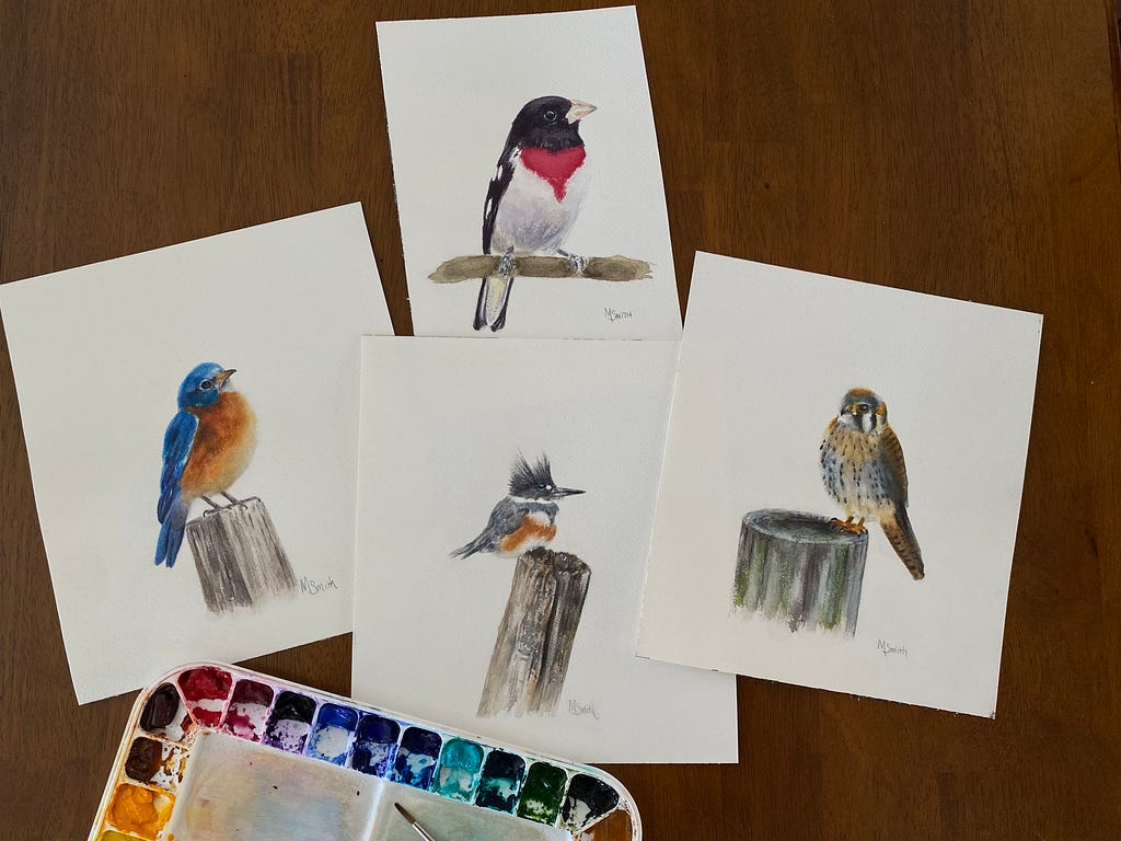 Art is her passion and so are birds. Keen to the details and texture, Michelle painted an Eastern bluebird, Rose-breasted Grosbeak, Belted Kingfisher, and American Kestrel using watercolor. Photo Credit: Michelle Smith, USFWS.