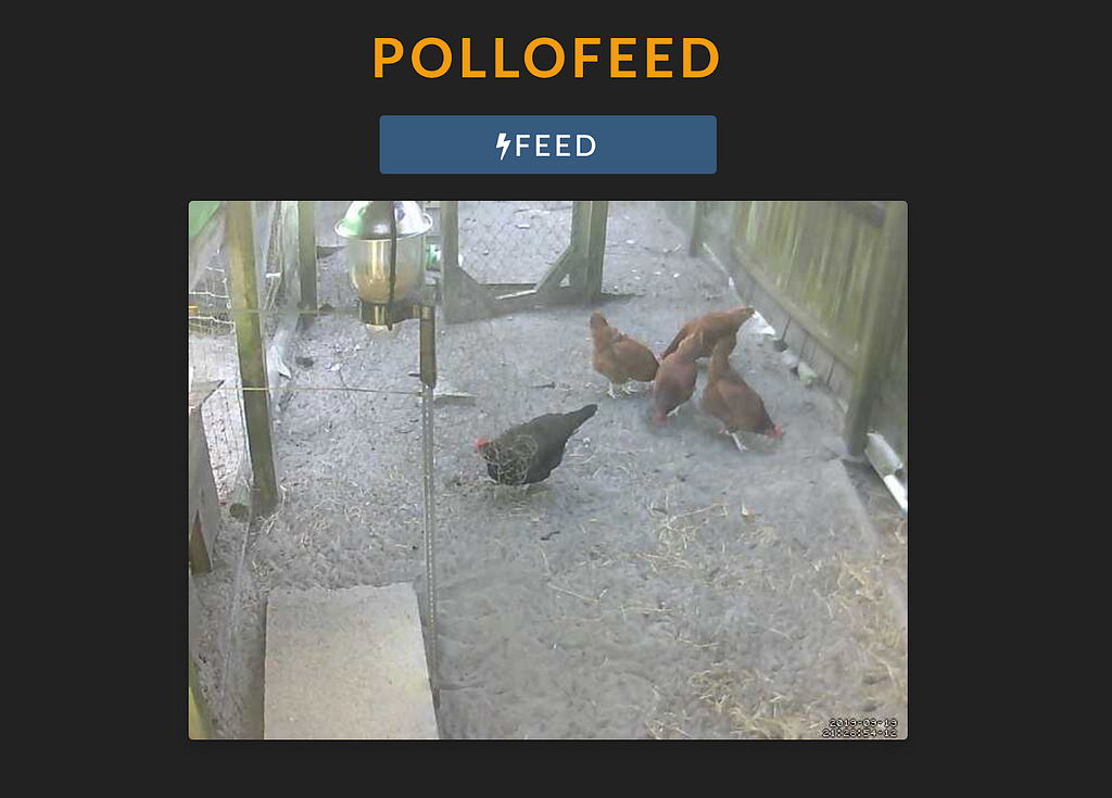 Screenshot of Pollo Feed