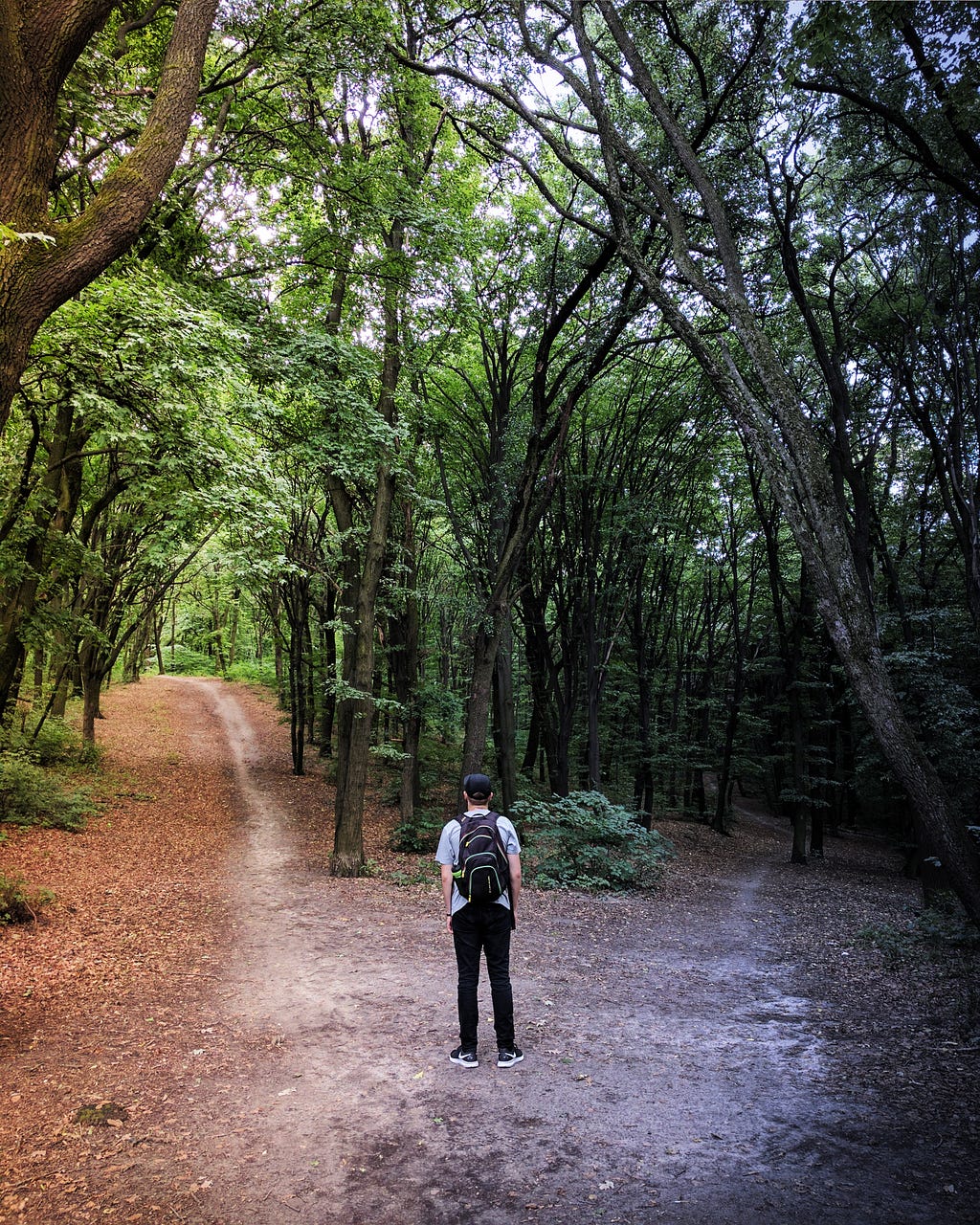 Which way to go?