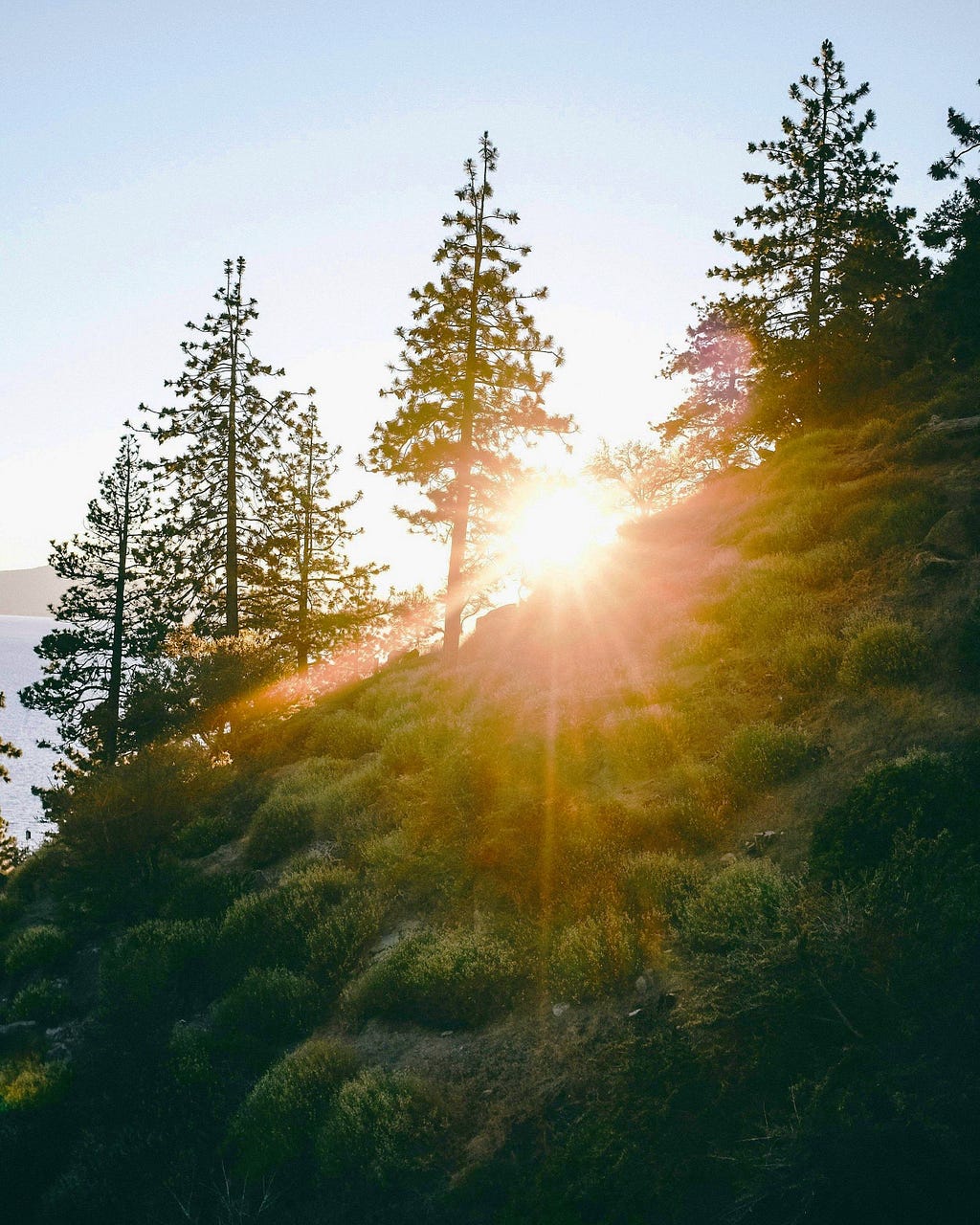 Sunrise from the perspective of the westshore with the sun coming up peaking through trees, brush and a hillside. Lake Tahoe in the left corner in the distance.