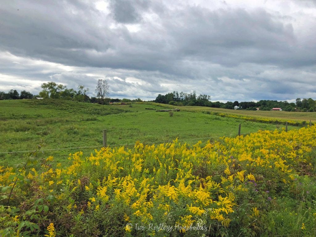 Scenery from trail ride with Painted Bar Stables