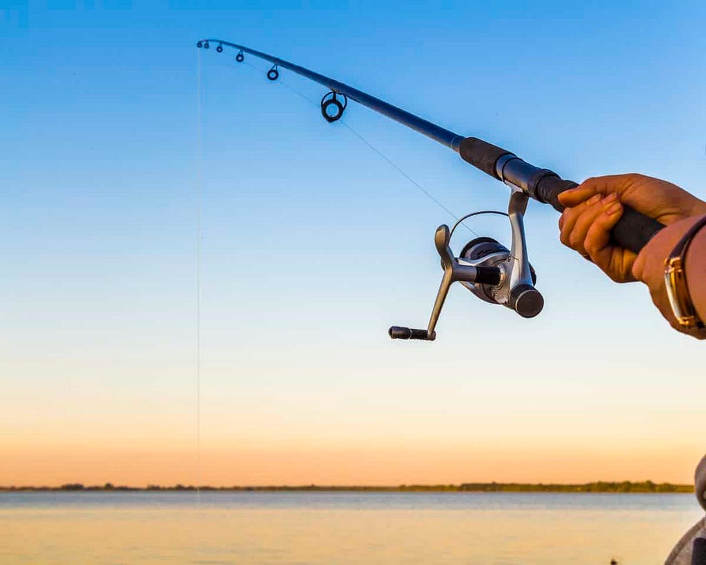 hottest spinning fishing rods on the market