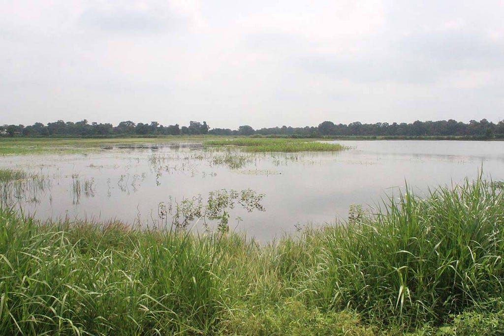 A serene view of Malguzari Talab (Malguzari Lake).