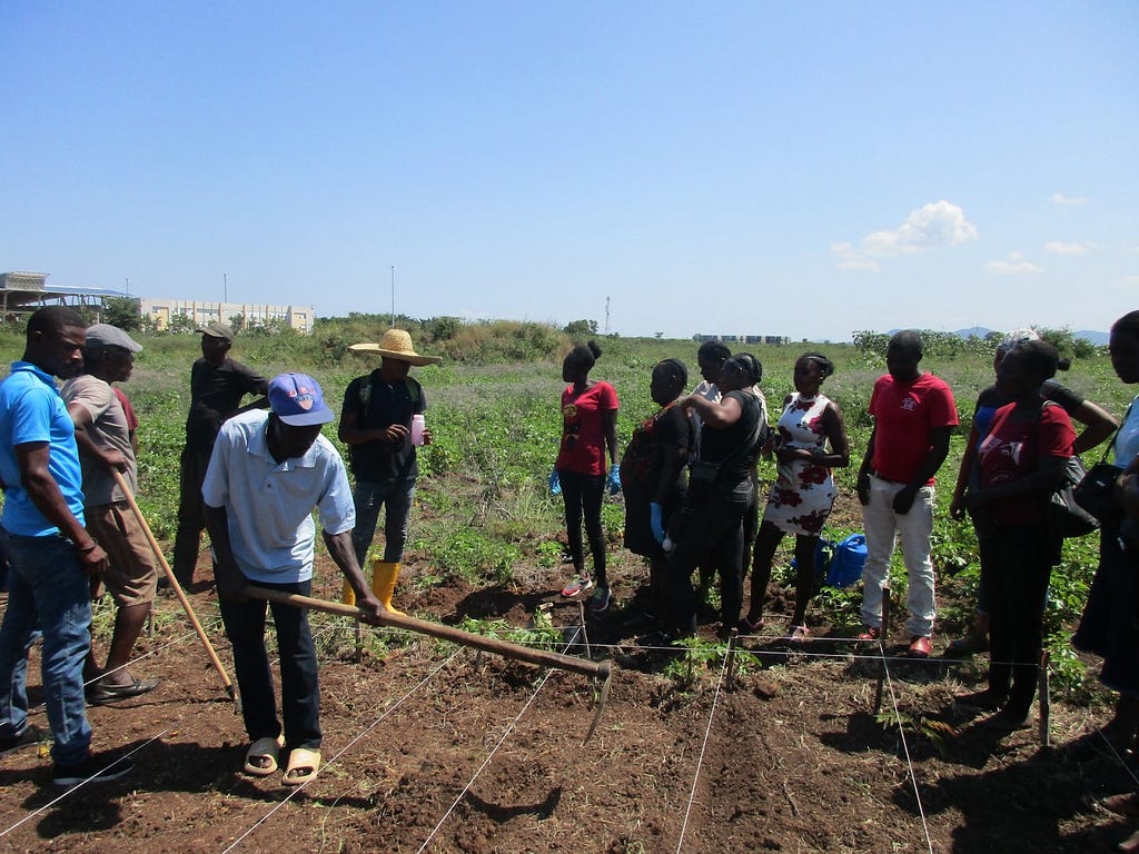 A group of people stand around a plot of land as an instructor holding a hoe shows them how to plant peanuts.