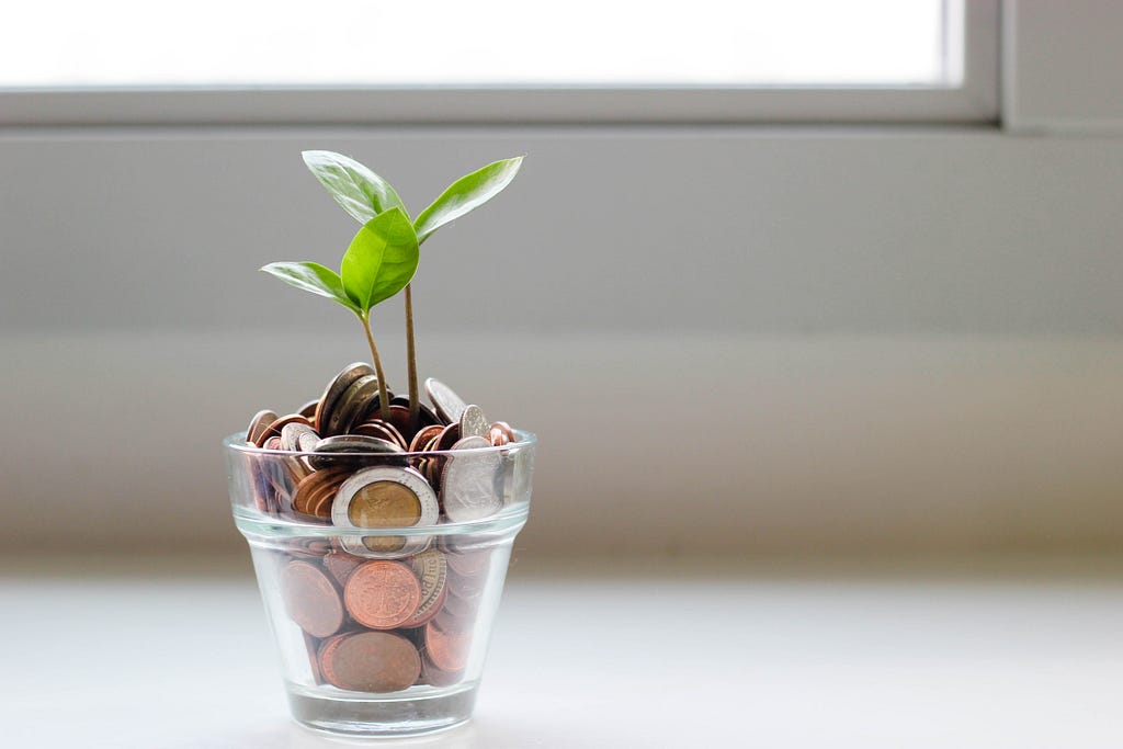Small glass pot of coins with a plant sprouting out of it. Muhammed Ebrar Aydin. LegendofEbrar. Muhammed Aydin.