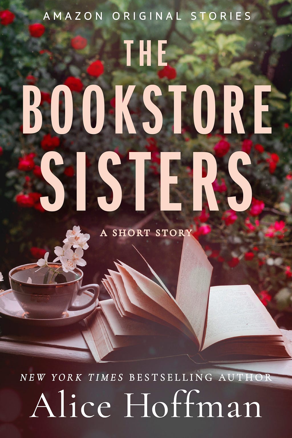 The Bookstore Sisters PDF