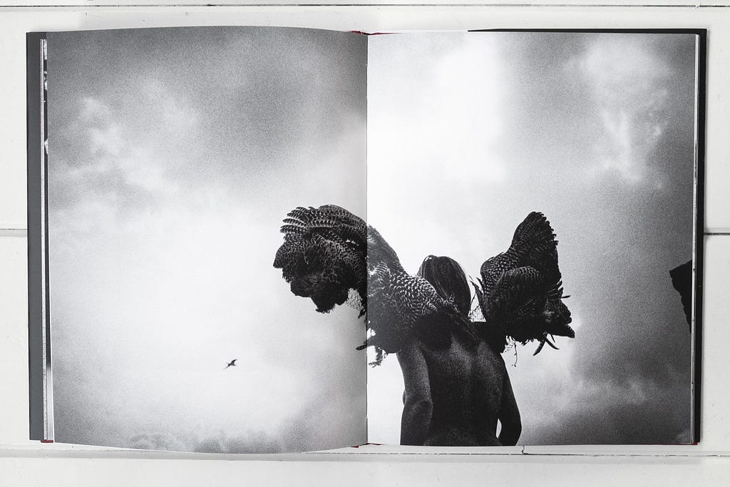 “One Year”, photobook by Geert Broertjes, $40