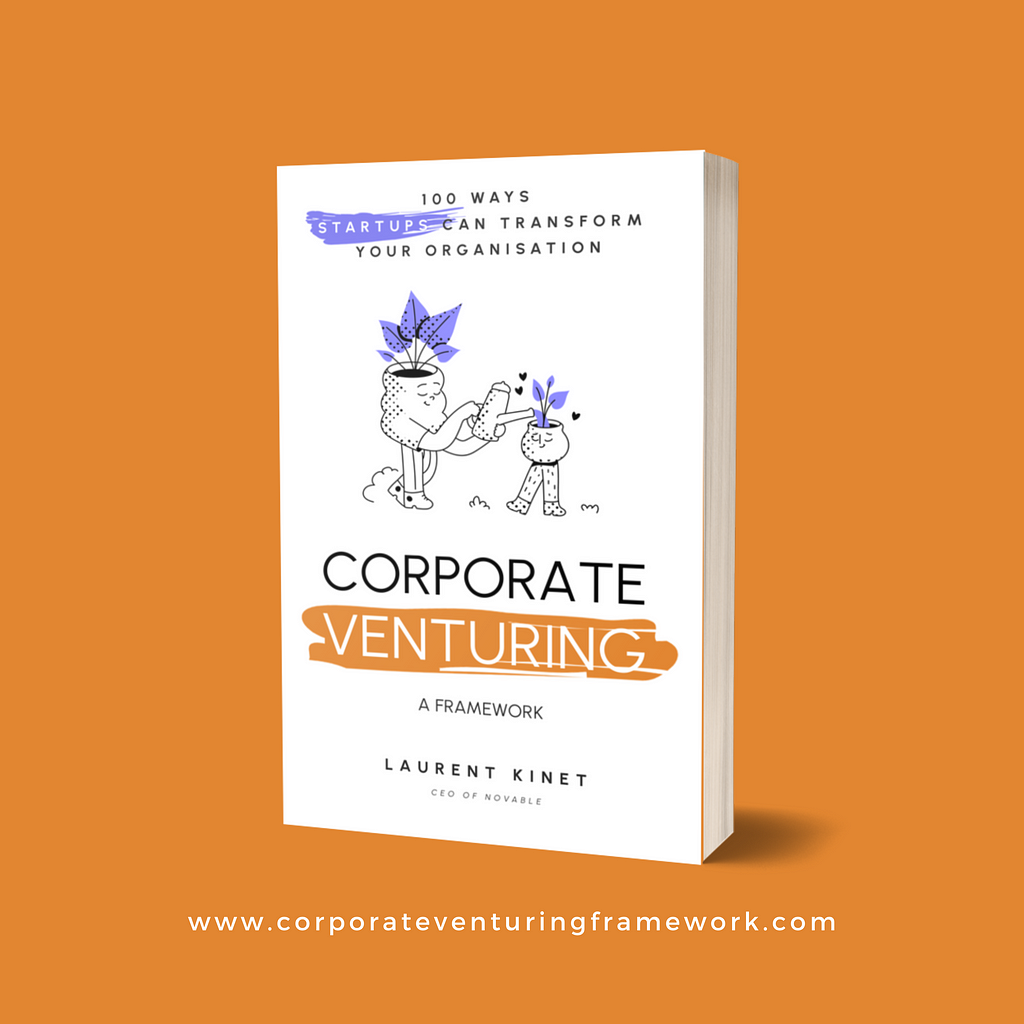 the corporate venturing framework