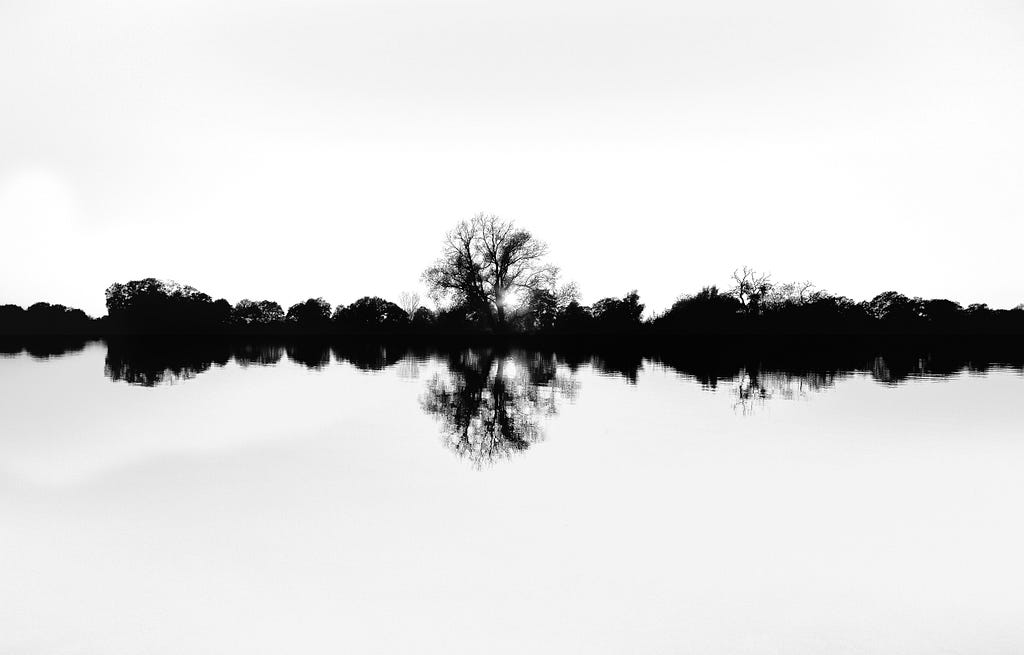 A black and white silhouette of trees reflected in water